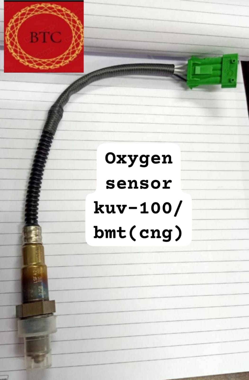 Oxygen Sensor